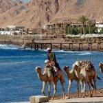 رحلة سفاري في الصحراء المصرية: مغامرة مثيرة