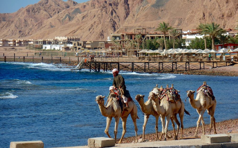 رحلة سفاري في الصحراء المصرية: مغامرة مثيرة