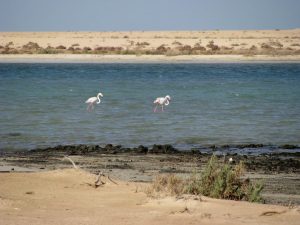 سياحة الطبيعة في البحرين للمغاربة