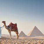 كيفية تقديم طلب فيزا مصر للمغاربة بسهولة مع “نامبر وان”